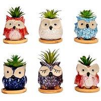 simpa 6PC Cartoon Owl Ceramic Plant Pots with Bamboo Base