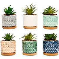 simpa 6PC Colour Glazed Owl Ceramic Plant Pots with Bamboo Base