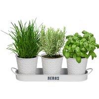 simpa Embossed Metal 3PC Herb Planters with Tray in White