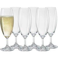 simpa 6PC Bohemia Crystal Short Stem Champagne Flute 220ml in Clear