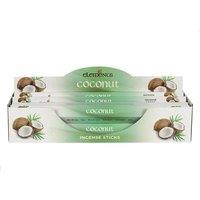 KDMD Set of 6 Packets of Elements Coconut Incense Sticks in Green