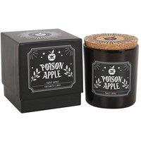 KDMD Poison Apple Sweet Apple Candle in Black