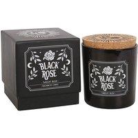 KDMD Black Rose Twilight Blush Candle