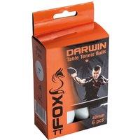 Fox TT Darwin 1 Star Table Tennis Balls (Pack of 6) in White