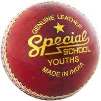 Readers Special School Leather Cricket Ball in Red