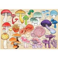 The House Of Puzzles Mushroom Mania 1000 Piece Jigsaw Puzzle | Size: 1000 Pieces