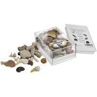 British Fossils Fossil Box Pack