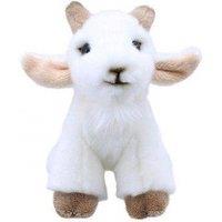 Wilberry Goat - Minis