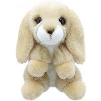 Wilberry Rabbit (Lop-Eared) - Minis
