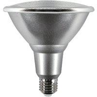 Harper Living PAR38 16 Watts LED Bulb IP65 6500K Non-Dimmable in Silver