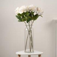 Scottish Everlastings Ltd Pack of 5 Off-White Peony Stems