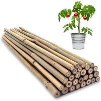 Almineez 20 x Natural Bamboo Plant Support Sticks 60cm / 2FT Plant Stakes Split Canes in Beige