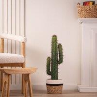 Scottish Everlastings Ltd 70cm Faux Cactus in Green