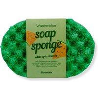 Scentish Watermelon Soap Sponge in Bottle Green