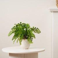 Scottish Everlastings Ltd 28cm Fern in Speckled Ceramic Pot in Green