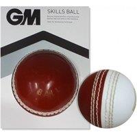 Gunn And Moore Skills Cricket Ball in Red