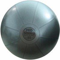 Fitness Mad Studio Pro Swiss Ball in Grey