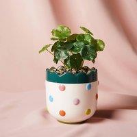 Raspberry Blossom Bobble Planter With Faux Plant in Cream