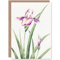 Artery8 Megata Morikaga Art Card Orchid Flower Vintage Japanese in Purple