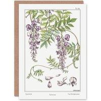 Artery8 Maurice Pillard Verneuil Art Card Wisteria Flower in White
