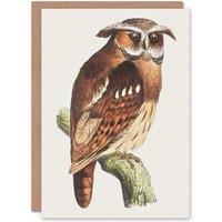 Artery8 Theo van Hoytema Art Card Eagle Owl Perched on a Branch in Brown