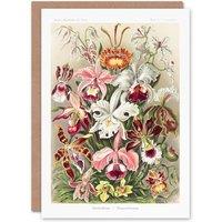 Artery8 Ernst Haeckel Art Card Orchid Flower Colourful Varieties