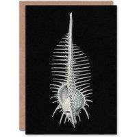 Artery8 Ernst Haeckel Art Card Murex Seashell Sketch on Black