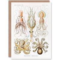 Artery8 Ernst Haeckel Art Card Squid & Octopus Vintage Illustrations in White