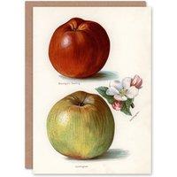 Artery8 John Wright Art Card Gascoignes Seedling Sandringham Apples in White