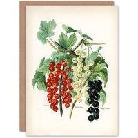 Artery8 John Wright Art Card Black Naples Victoria White Dutch Currants