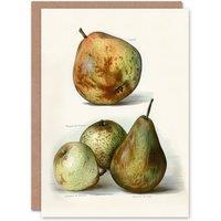 Artery8 John Wright Art Card Pear Varieties Vintage Fruit Illustration in White