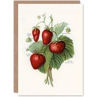 Artery8 John Wright Art Card Vintage Fruit Illustration of Strawberries in White