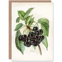 Artery8 John Wright Art Card Vintage Illustration of Early Rivers Cherries in White