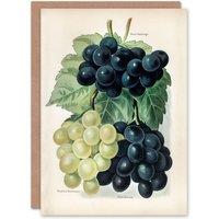 Artery8 John Wright Art Card Vintage Illustration of Grape Varieties in White