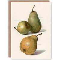 Artery8 John Wright Art Card Vintage Illustration of Pear Varieties in White