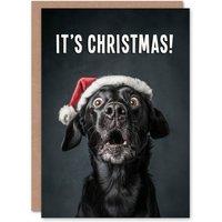 Artery8 Christmas Card Black Labrador Photograph Dog in Santa Hat Funny in Blue