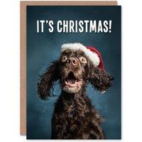 Artery8 Christmas Card Cocker Spaniel Photograph Dog in Santa Hat Funny in Blue