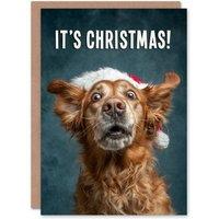 Artery8 Christmas Card Golden Retriever in Santa Hat Photograph Funny in Blue