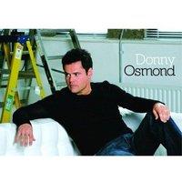 Donny Osmond On Couch Postcard