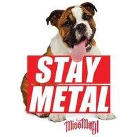 Miss May I Cork Dog Coaster in White