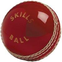 Gunn And Moore Skills Cricket Ball in Red