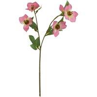 Hill Interiors The Natural Garden Collection Varigated Hellibore Artificial Flower in Pink