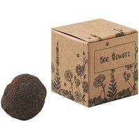 MidOcean Bombi II Seed Growing Kit in Beige