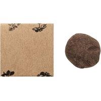 MidOcean Bombi III Herb Bomb Seed Growing Kit in Beige