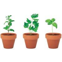 MidOcean Flowerpot Terracotta Herb Seeds Plant Pot (Pack of 3) in Cream