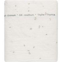 MidOcean Roll Herb Seeds in Beige