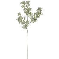 Hill Interiors Wattle Leaf Artificial Flower in Green