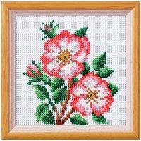 Orchidea XSTITCH KIT DOG ROSE - Cross Stitch Kit: Dog Rose in Pink