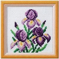 Orchidea XSTITCH KIT IRIS - Cross Stitch Kit: Iris in Black