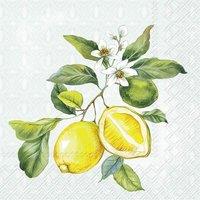 IHR Ideal Home Range Cocktail Napkins Lemon Mint 25cm 3ply 20 Pack